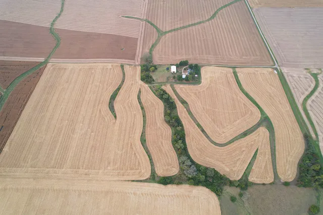 a view of a lake from a yard