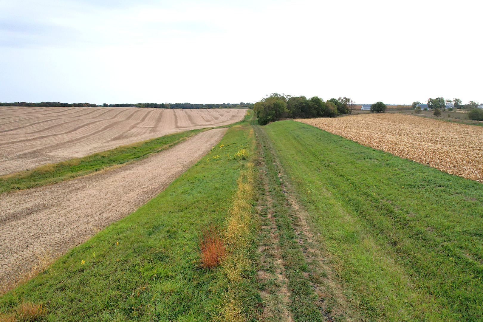 799 1500th Road Henry, IL 61537 - Photo 8 of 11 a view of a lake with a big yard
