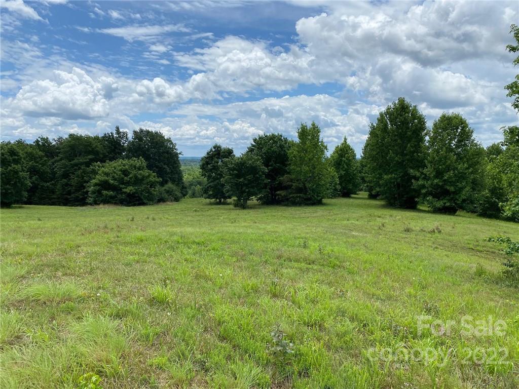 Tbd Preservation Trail Tryon, NC 28782 - Photo 3 of 15 Gallery Image 3