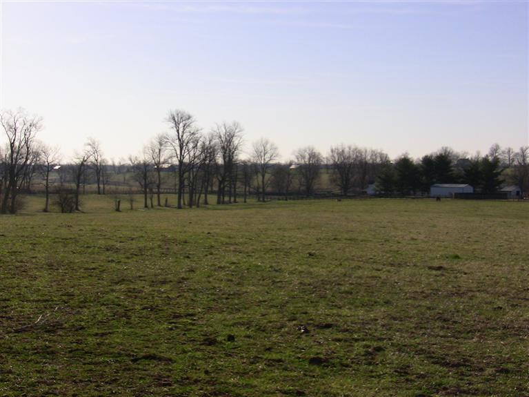 329 Hawkins - Cummins Road Paris, KY 40361 - Photo 5 of 10 Photo 5