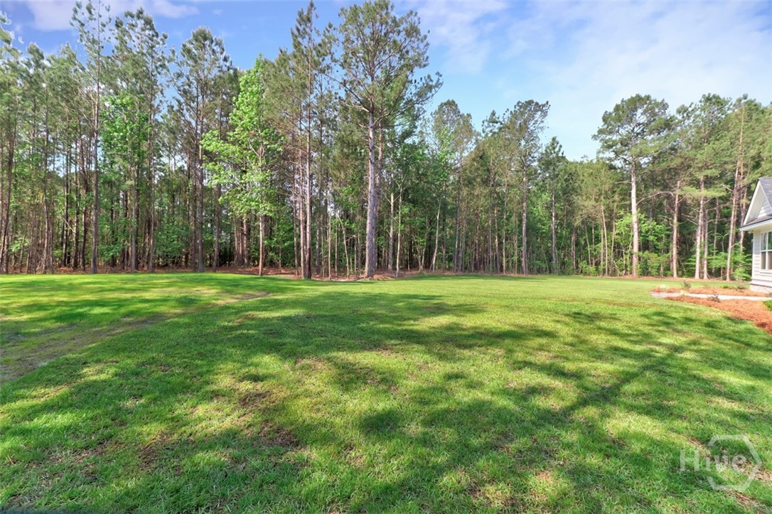 100 Robert's Road Springfield, GA 31329 - Photo 54 of 54