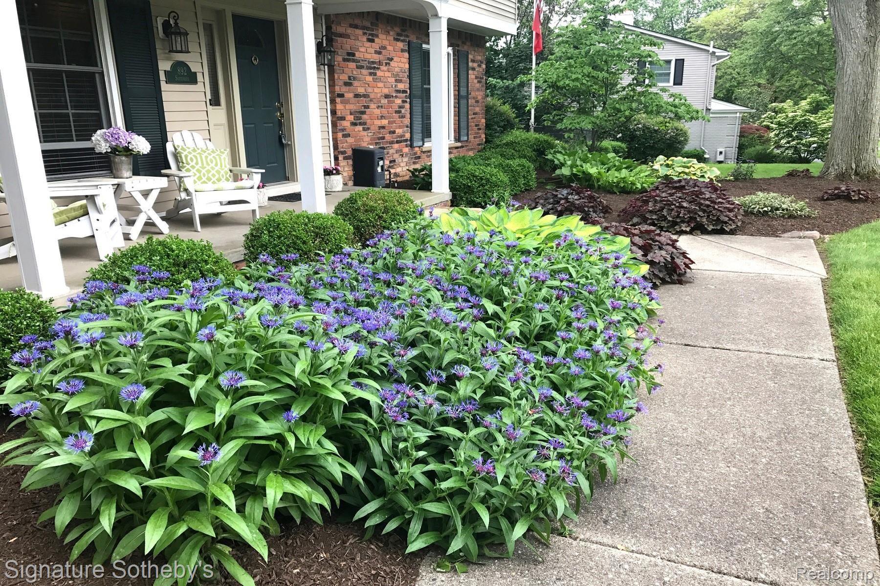 892 Satterlee Road Bloomfield Hills, MI 48304 - Photo 2 of 44 IMG_8959.JPG