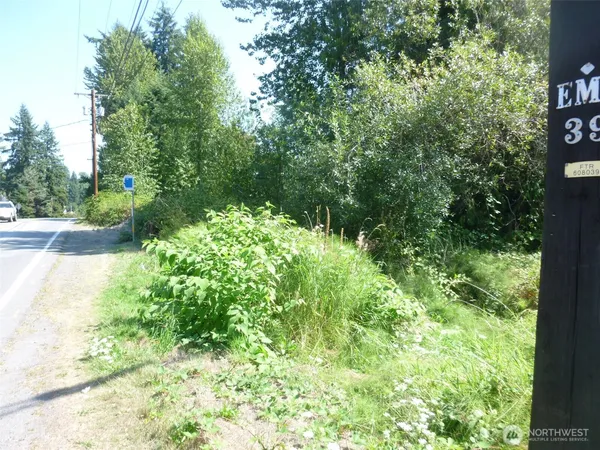 a view of a garden with plants and a bench