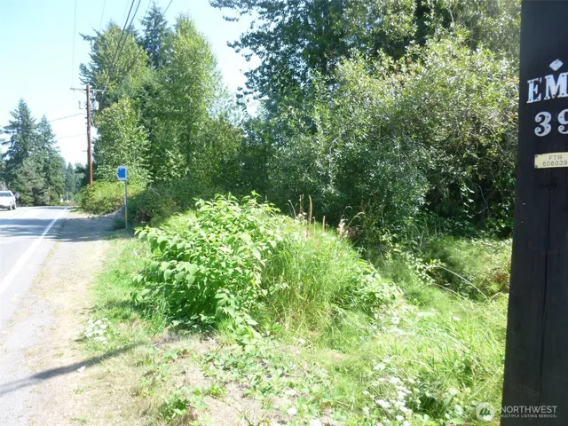 a view of a garden with plants and a bench