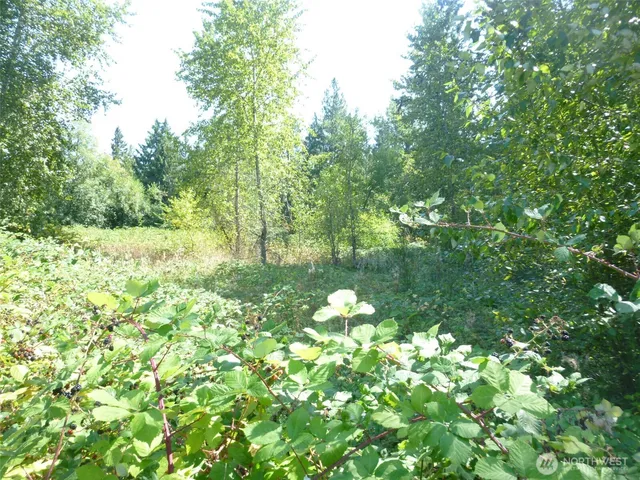 a view of yard with green space