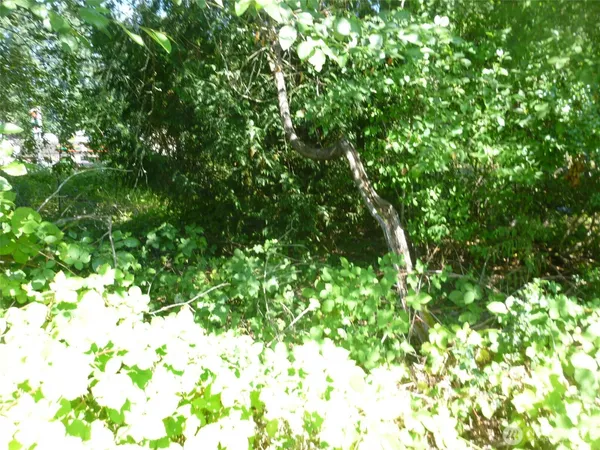 a backyard of a house