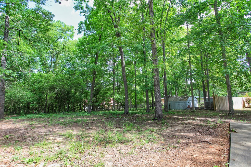 6051 Acton Road Dalzell, SC 29040 - Photo 5 of 17