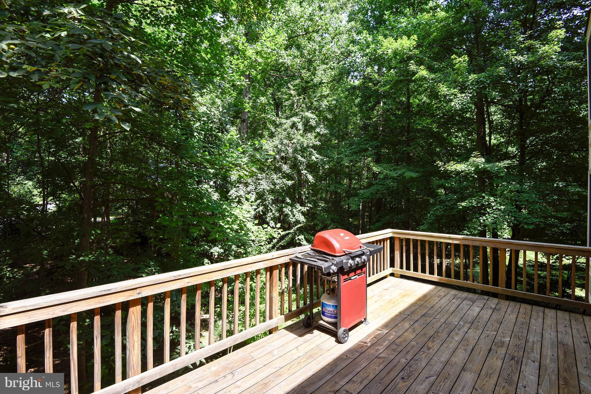 11692 Bennington Woods Road Reston, VA 20194 - Photo 9 of 29 a view of a deck yard outdoor seating