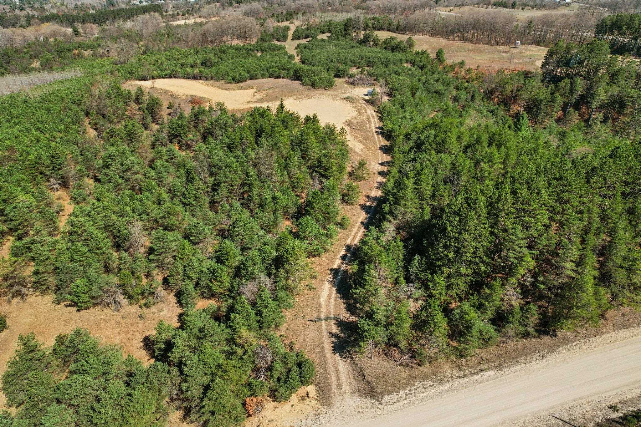 18 East 1/2 Road Manton, MI 49663 - Photo 4 of 13