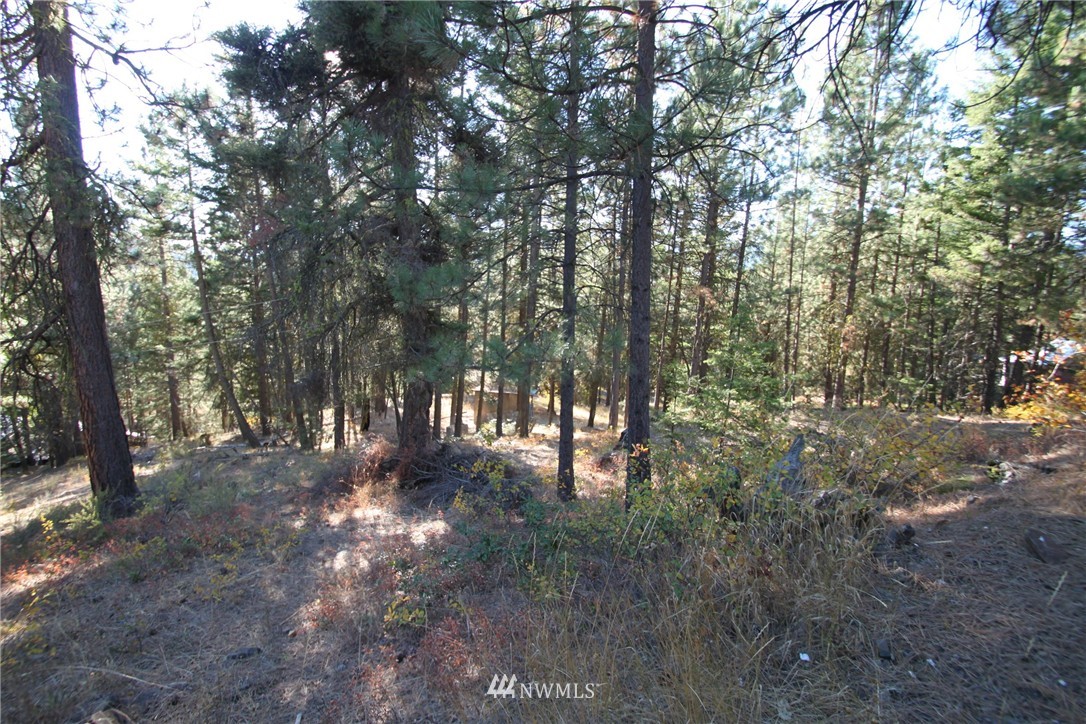 950 Harkness Road Cle Elum, WA 98922 - Photo 12 of 13 Gallery Image 12