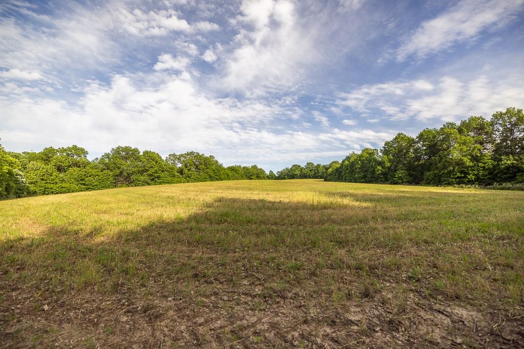 Tract A Northeast 900th Road Knob Noster, MO 65336 - Photo 26 of 42