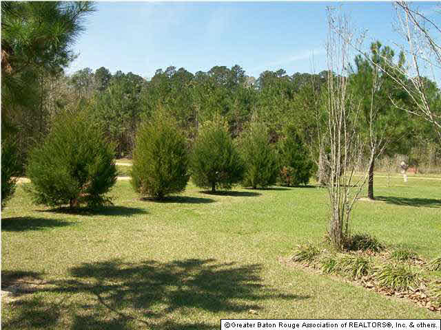 2073 Coldwater Church Road Forest, MS 39074 - Photo 16 of 17