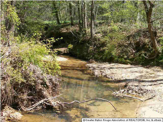 2073 Coldwater Church Road Forest, MS 39074 - Photo 17 of 17