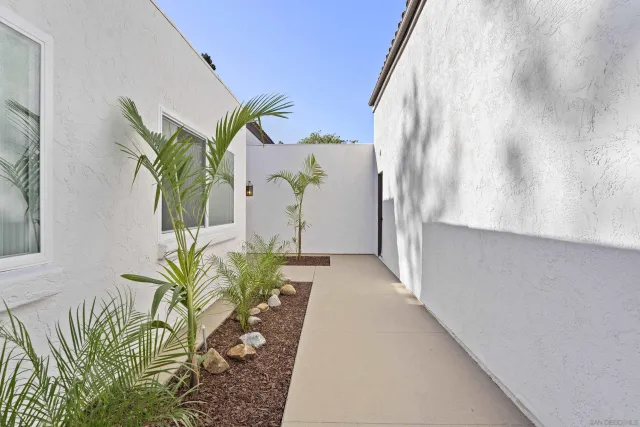 a potted plant sitting in front of a door