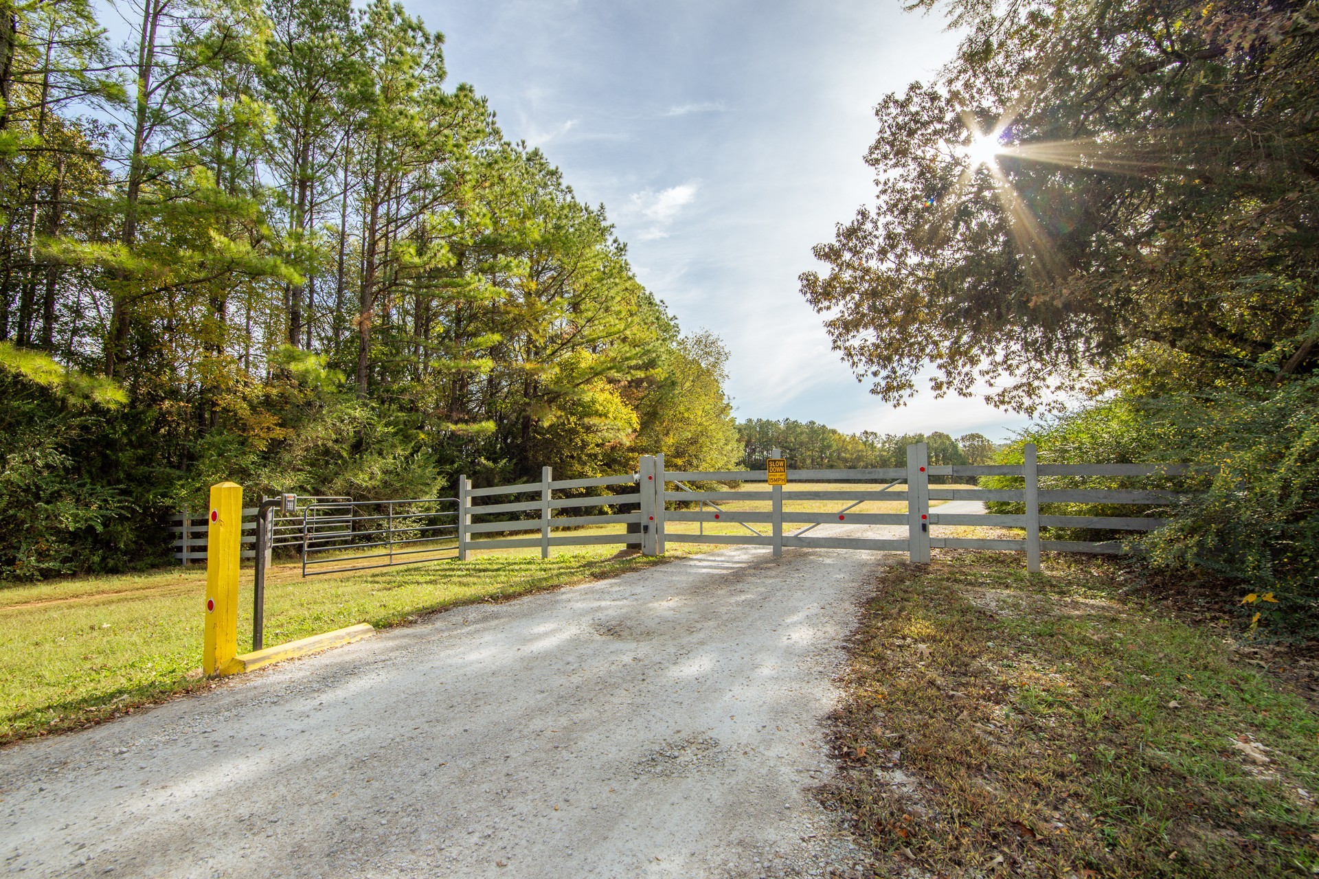 1040 Whites Creek Lane Decaturville, TN 38329 - Photo 73 of 80 a view of a yard with swimming pool