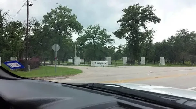 a view of a yard with cars parked on road
