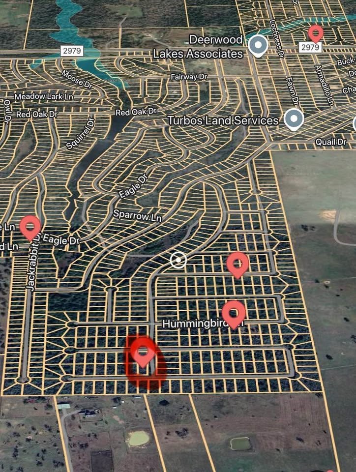 0 Cottontail Drive Hempstead, TX 77445 - Photo 2 of 7