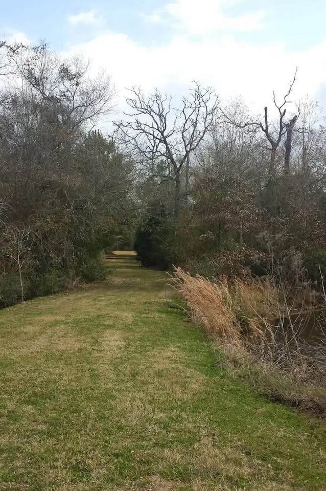 0 Cottontail Drive Hempstead, TX 77445 - Photo 6 of 7 a view of lake view