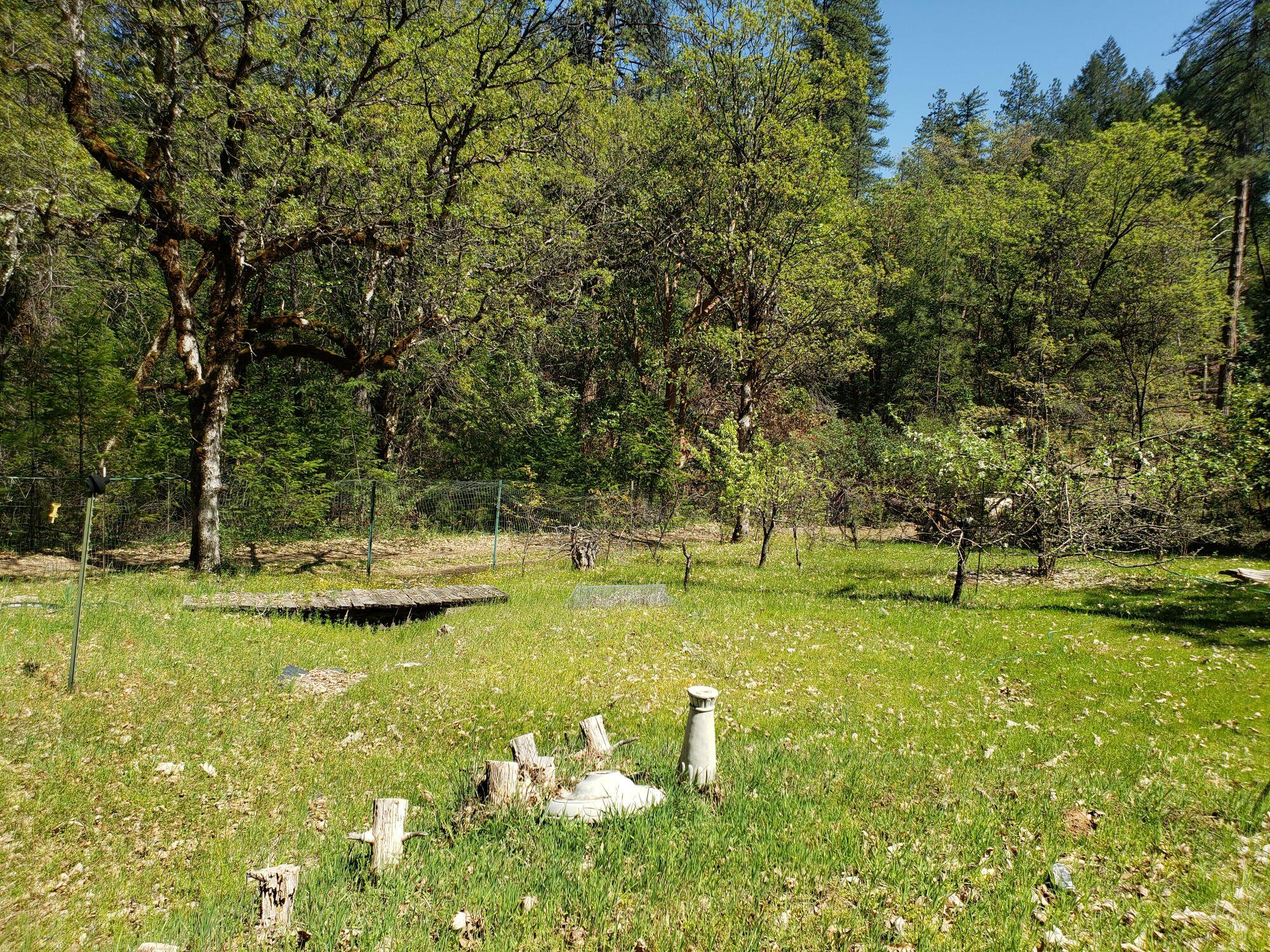 164 Hocker Meadow Road Junction City, CA 96048 - Photo 14 of 15