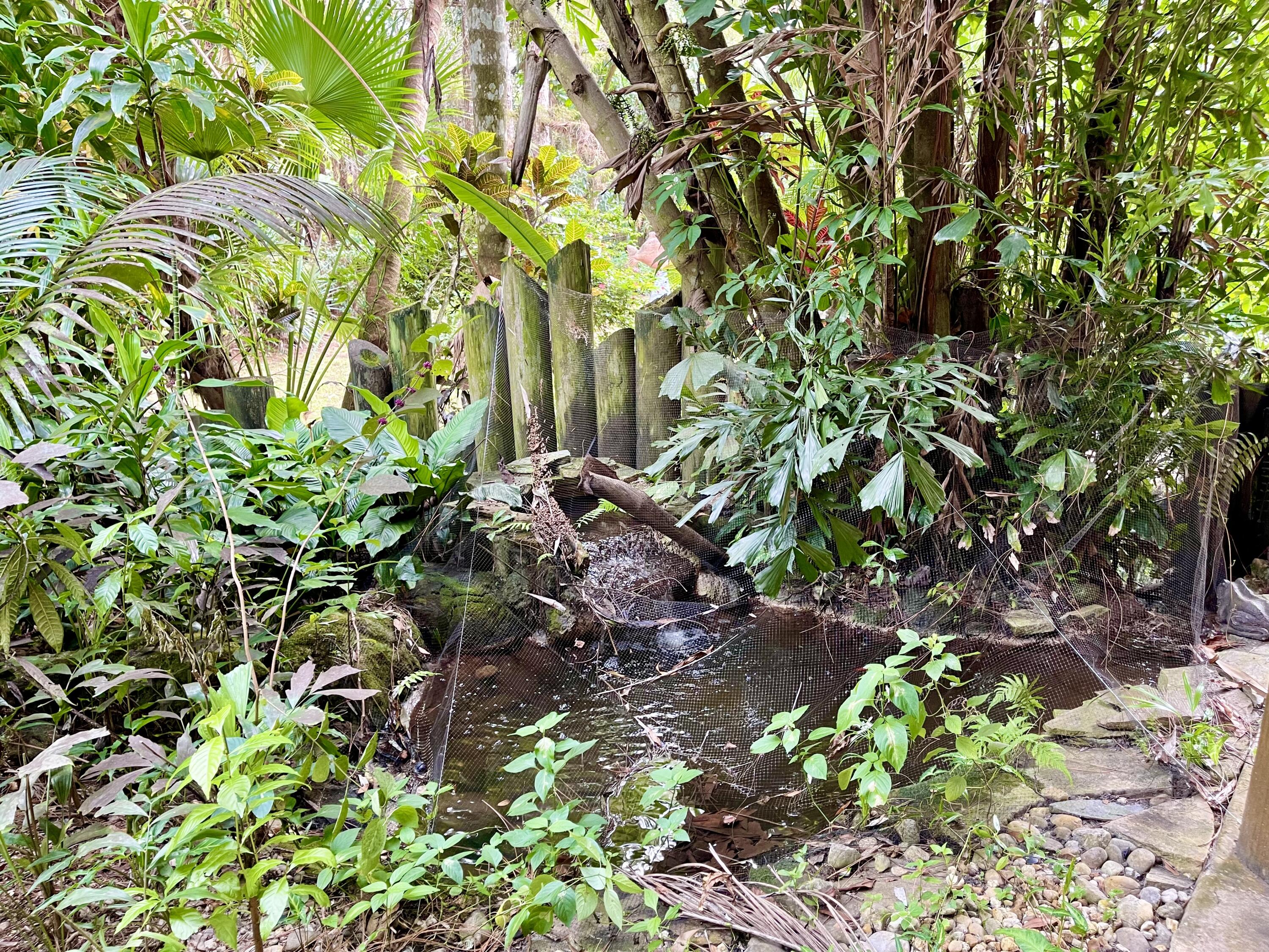9470 Sandy Run Road Jupiter, FL 33478 - Photo 14 of 48 a backyard of a house with lots of green space