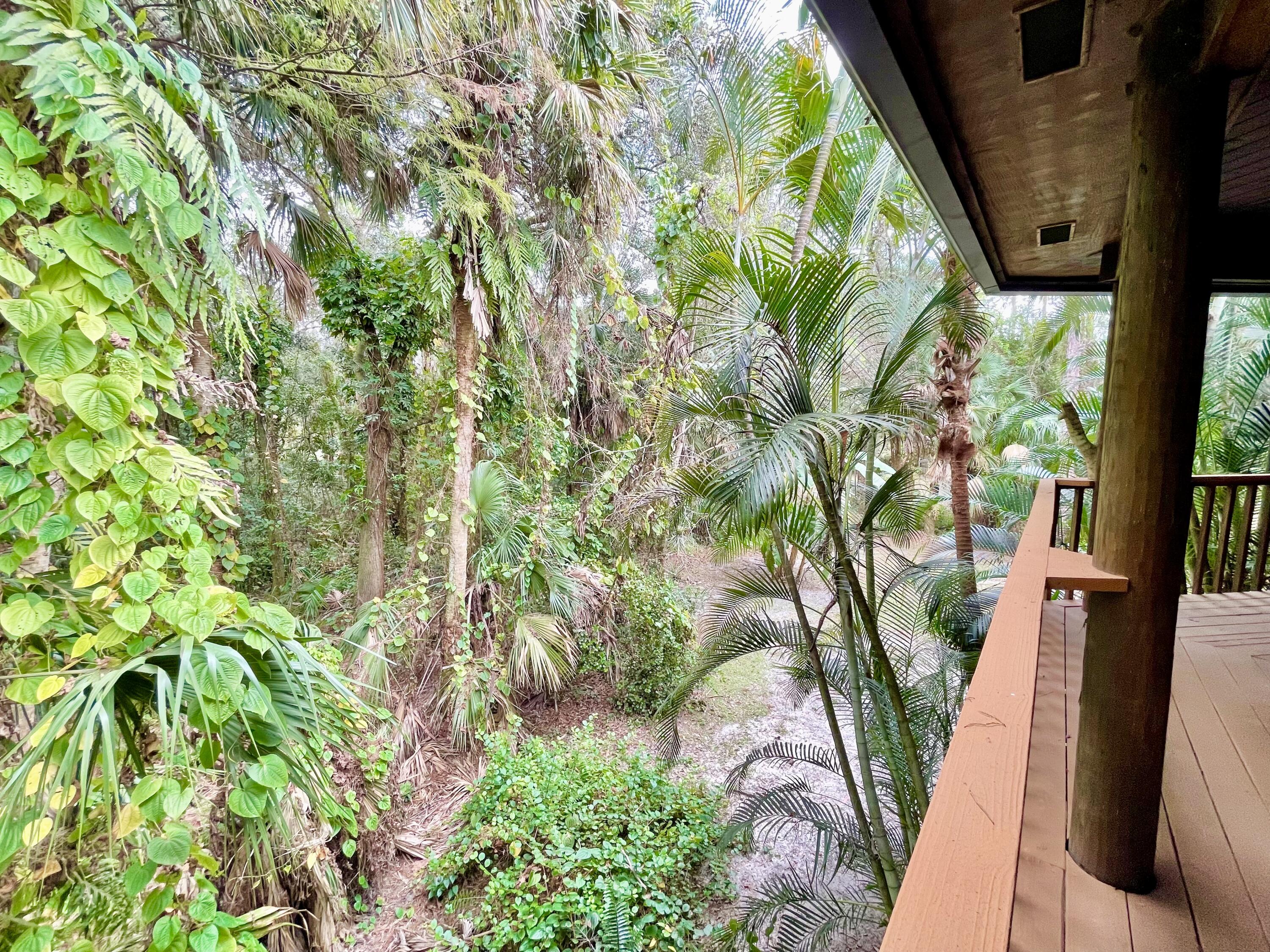 9470 Sandy Run Road Jupiter, FL 33478 - Photo 21 of 48 a close up of a plant in a garden