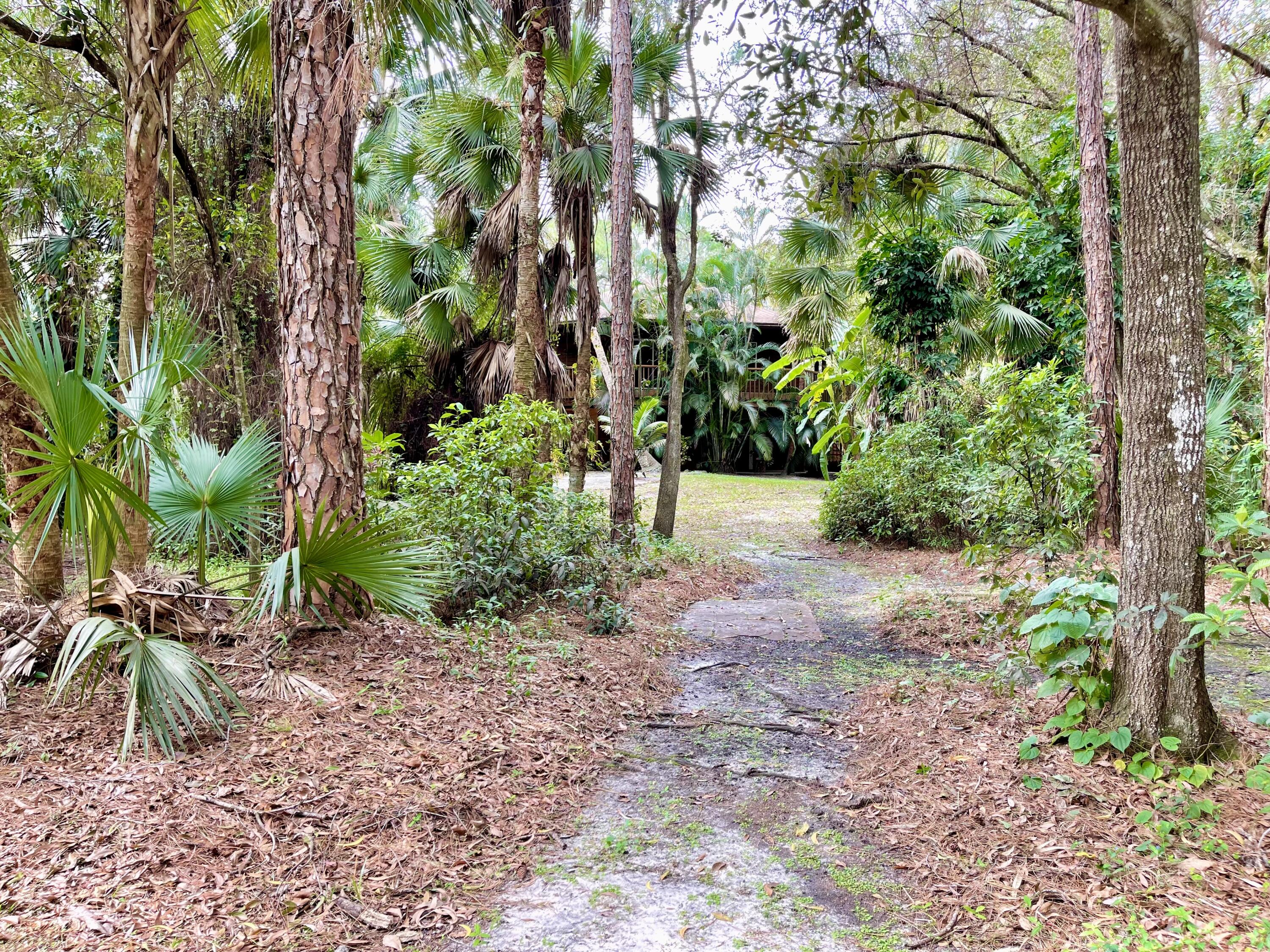 9470 Sandy Run Road Jupiter, FL 33478 - Photo 48 of 48 a view of backyard with palm trees