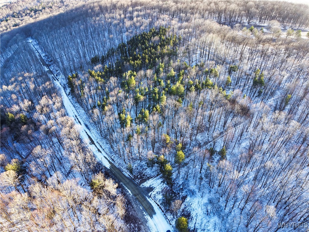 10-11 Creek Ridge Road Ellicottville, NY 14731 - Photo 15 of 16