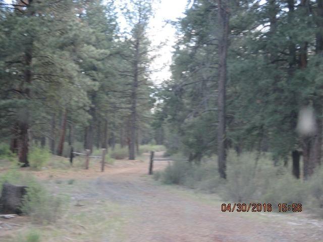 9247 Sprague River Road Chiloquin, OR 97624 - Photo 8 of 30 Additional Photo