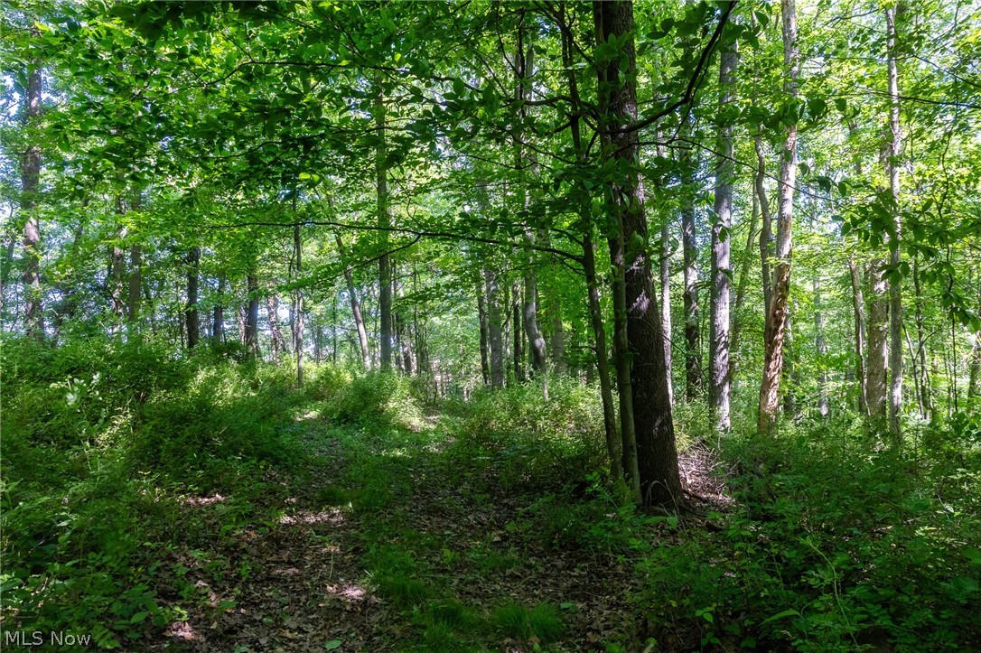 Ridge Road Minerva, OH 44657 - Photo 16 of 49