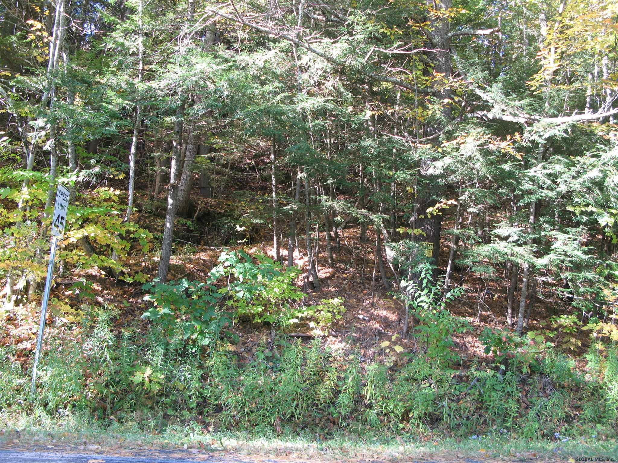 Shew Hollow Road Gilboa, NY 12076 - Photo 1 of 3 Photo 1