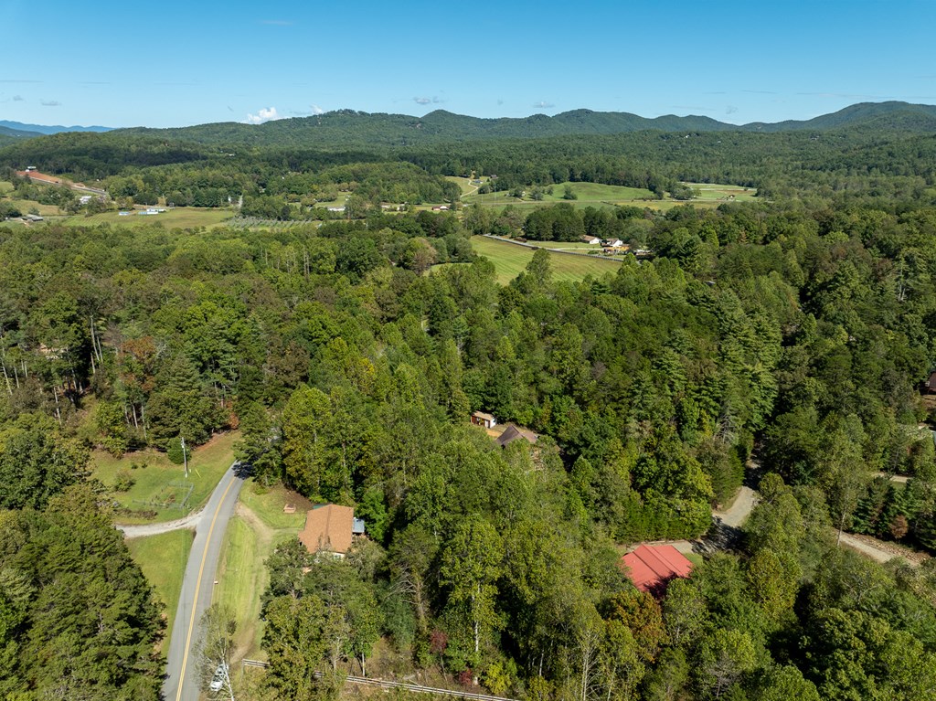 1813 John Smith Road East Blairsville, GA 30512 - Photo 39 of 41 a view of a lush green field with lots of bushes
