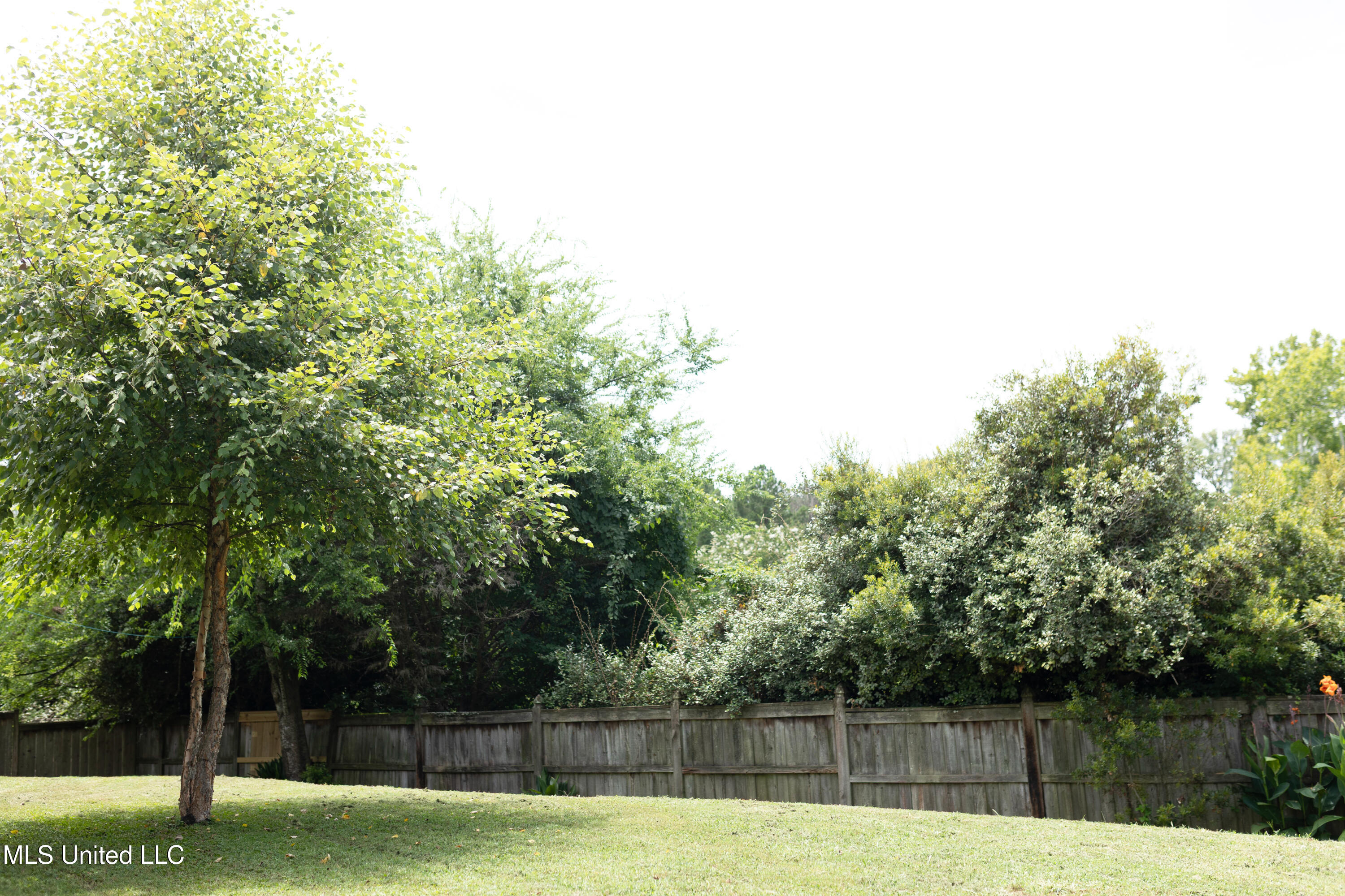 103 Bainbridge Bend Canton, MS 39046 - Photo 50 of 51 bainbridge-50