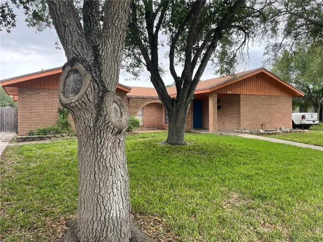 a tall tree in middle of the green field