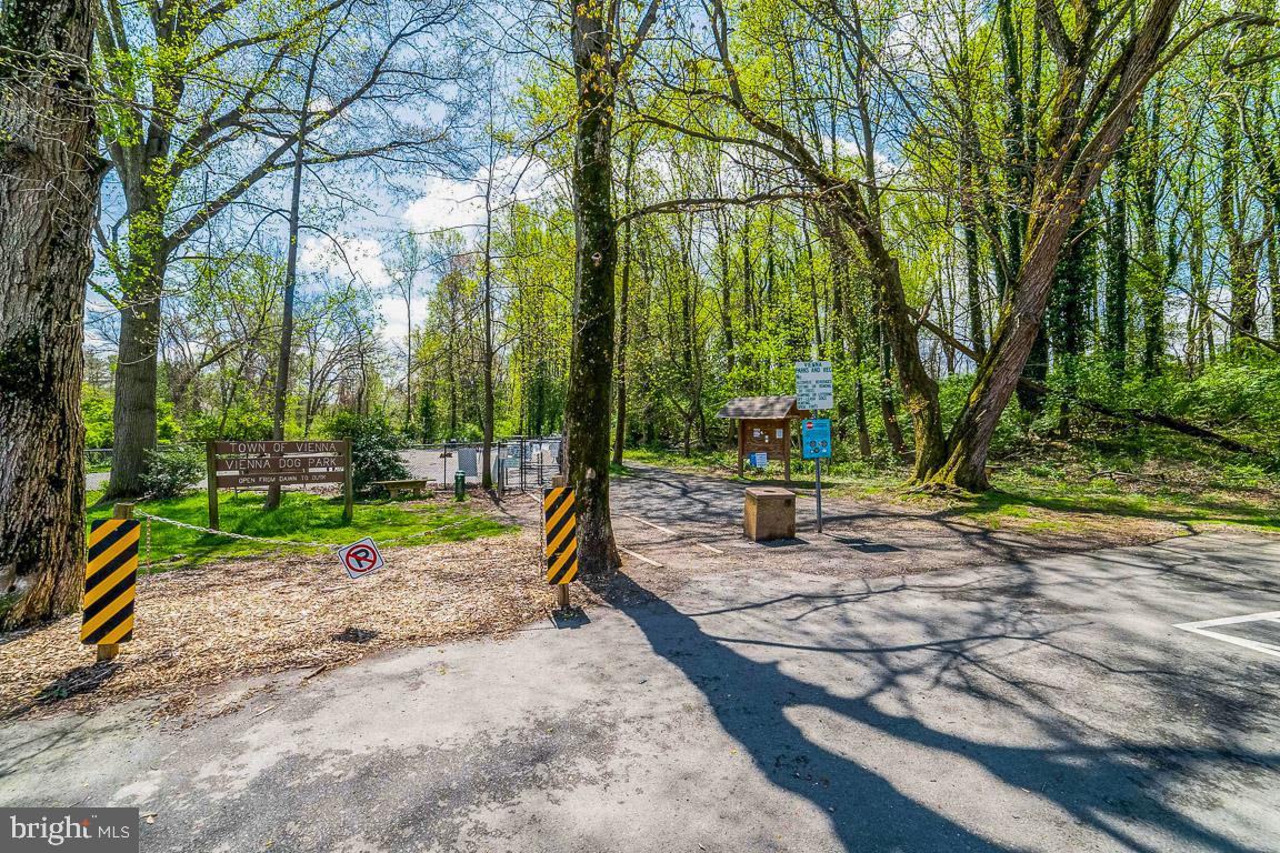 2944 Edgelea Road Vienna, VA 22181 - Photo 50 of 57 Dog Park