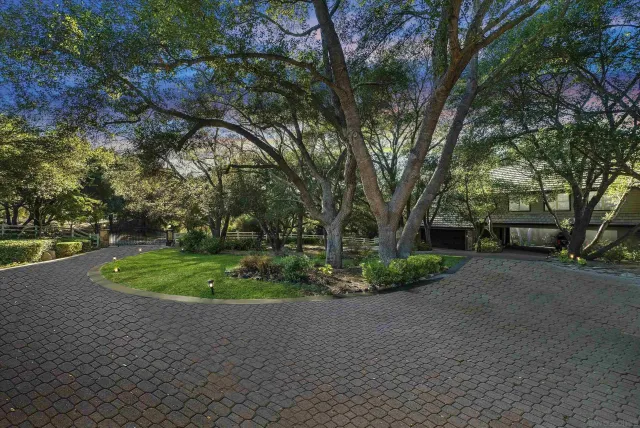 a view of a street that has large trees