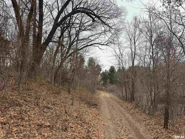 $50,000 | 1352 Township Road, Oquawka, IL 61469