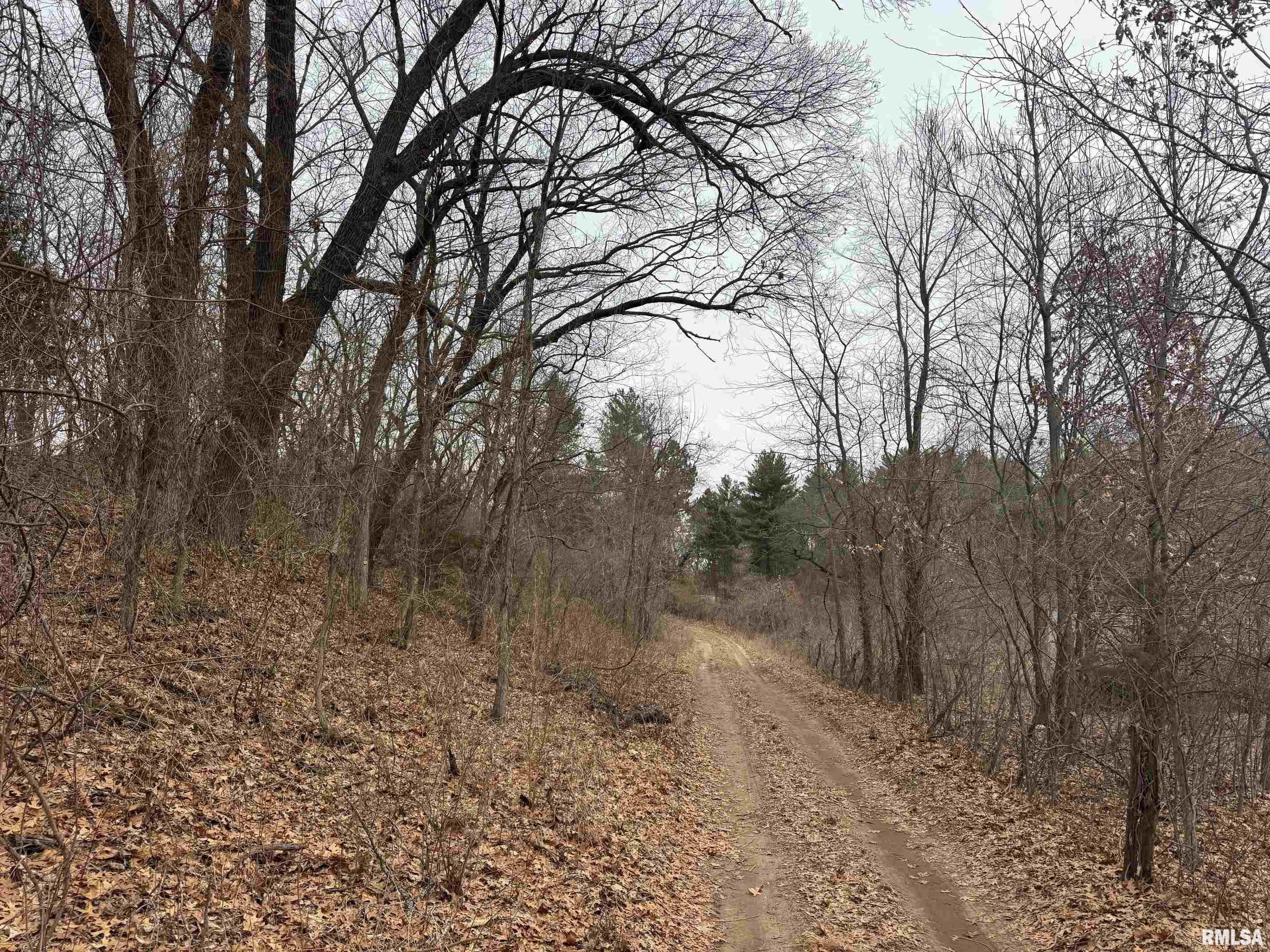 1352 Township Road Oquawka, IL 61469 - Photo 6 of 10