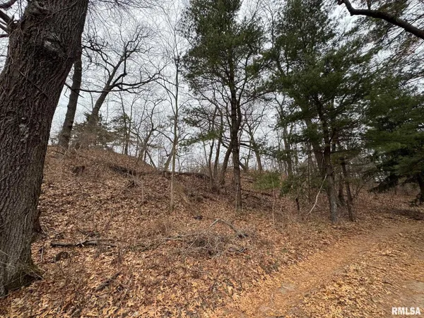 $50,000 | 1352 Township Road, Oquawka, IL 61469