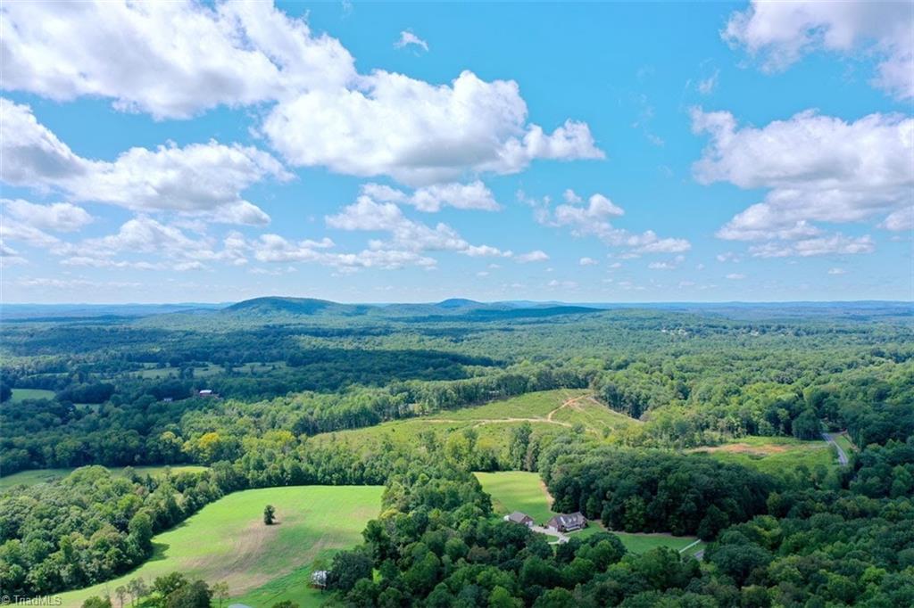 1283 Pineview Road Randleman, NC 27317 - Photo 10 of 50 Gallery Image 10