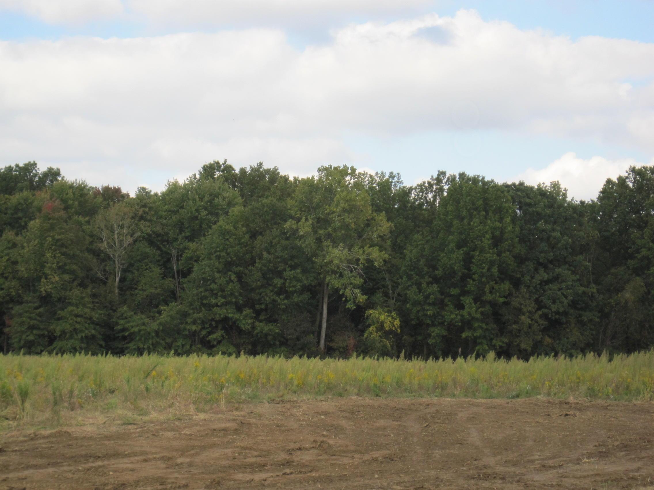7283 Dustin Road Galena, OH 43021 - Photo 4 of 9 Gallery Image 4