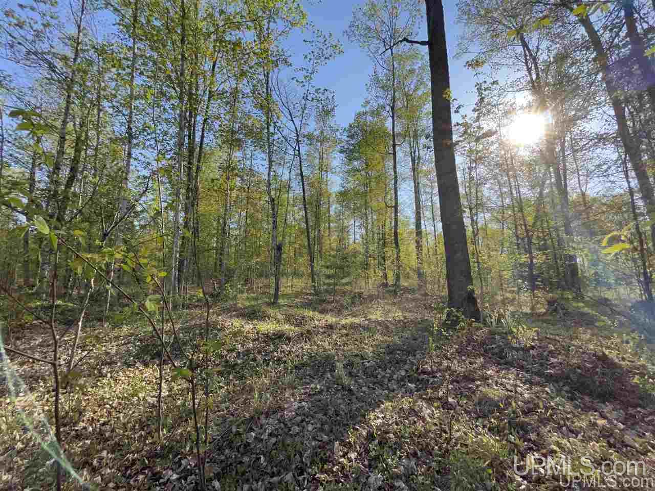 Tbd Sand Road, Unit 1 Powers, MI 49874 - Photo 29 of 47 Gallery Image 29