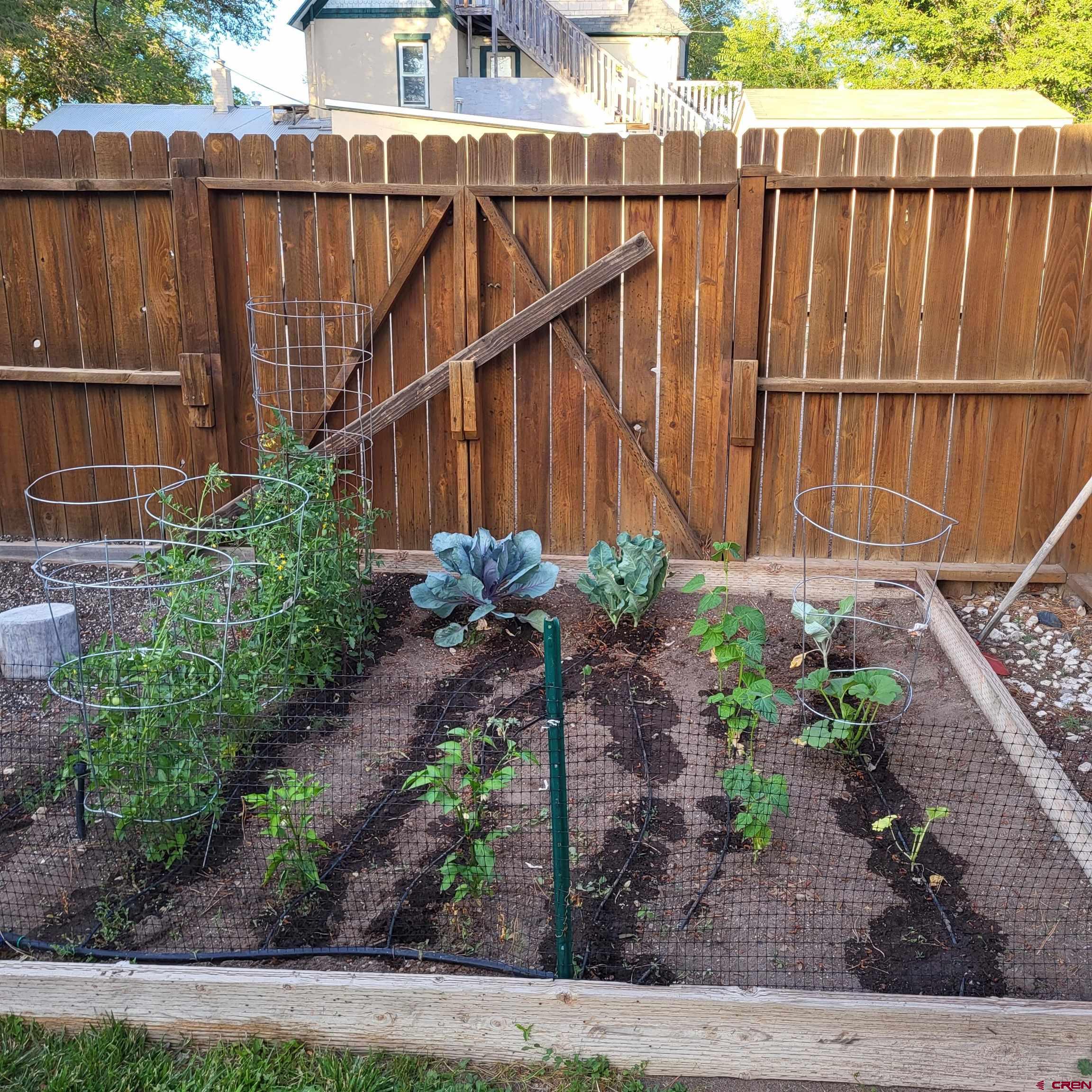 304 West 3rd Street Delta, CO 81416 - Photo 24 of 28 a garden view with a playing court