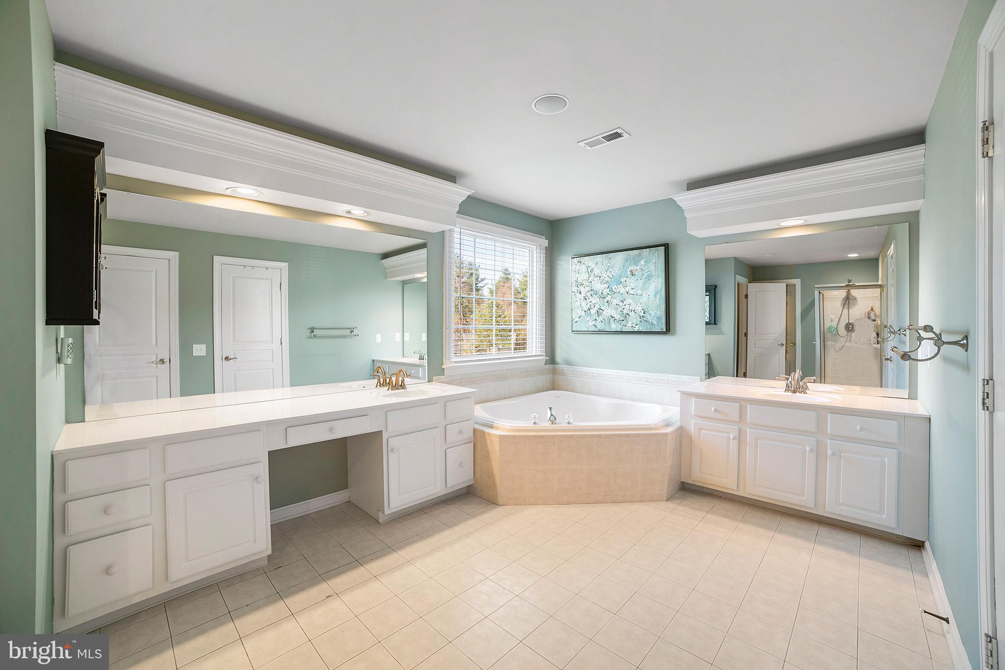 19 Eagleton Farm Road Newtown, PA 18940 - Photo 17 of 32 Master Bath