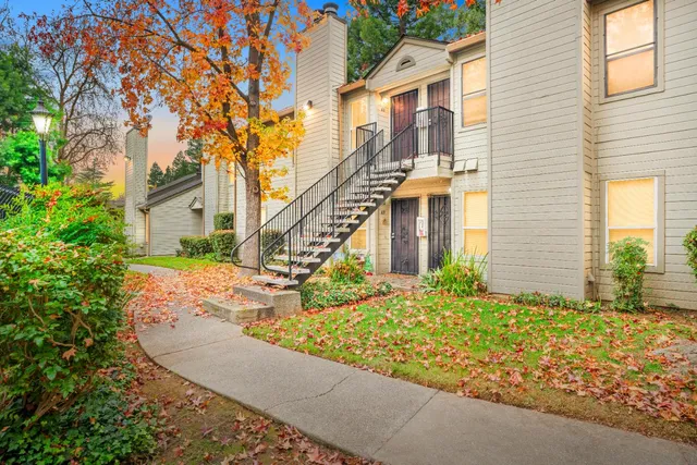 a view of a house with brick walls plants and large tree