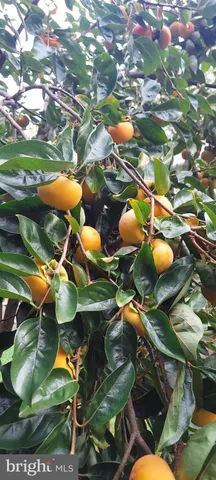 $380,000 | 118 Mardan Drive, Reisterstown, MD 21136