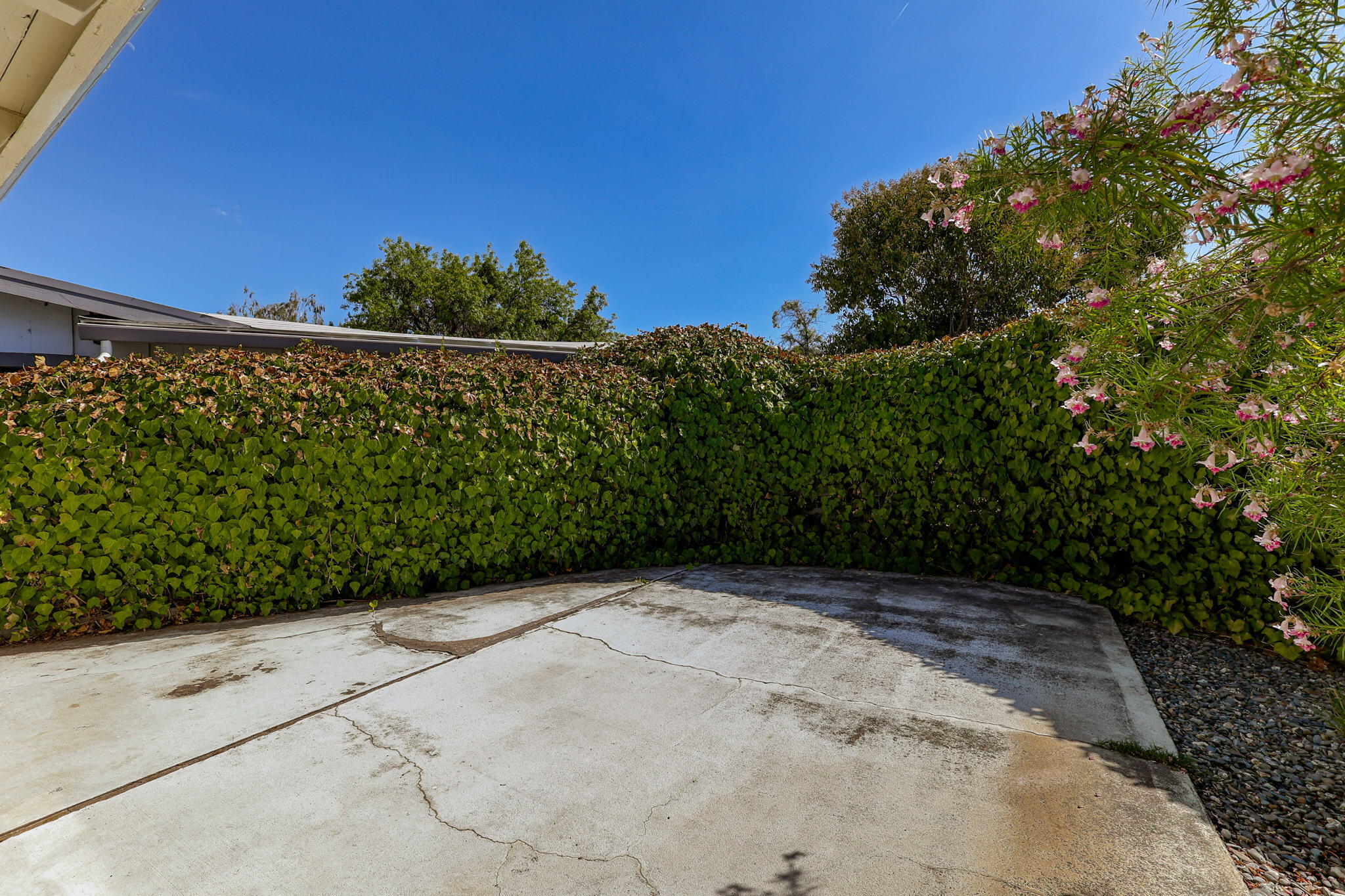 860 Rio Street Red Bluff, CA 96080 - Photo 50 of 50 a view of a pathway both side of a yard