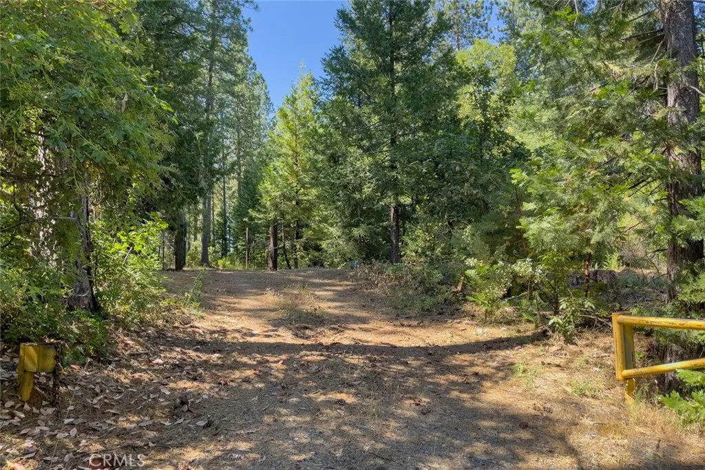 0 Forbestown Road Oroville, CA 95966 - Photo 11 of 40 a view of a yard with plants and trees