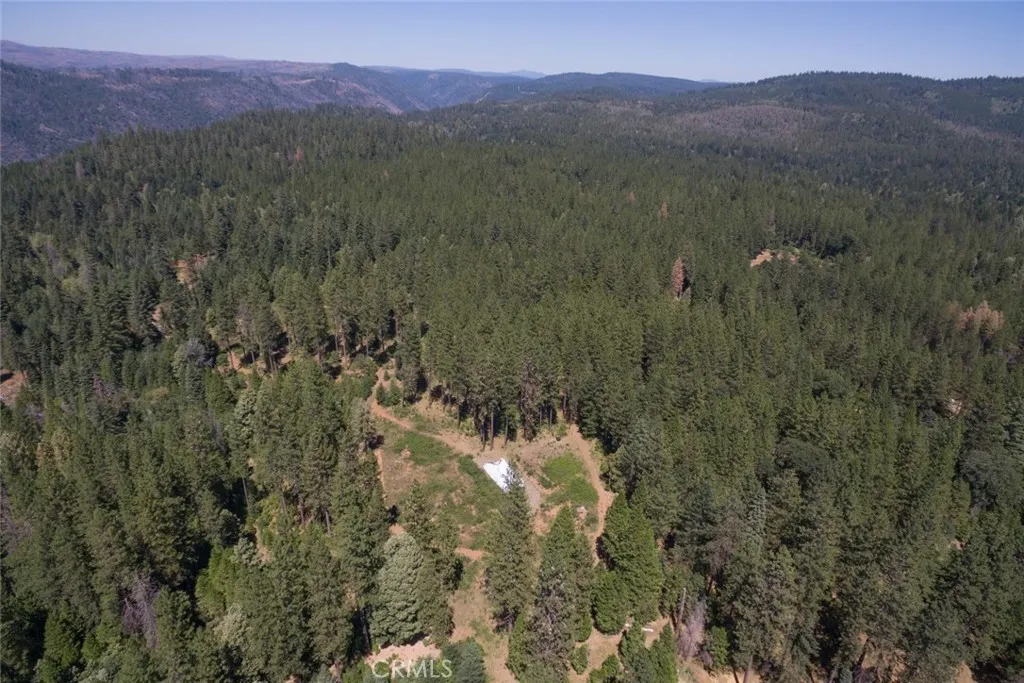 0 Forbestown Road Oroville, CA 95966 - Photo 14 of 40 a view of a forest with a mountain