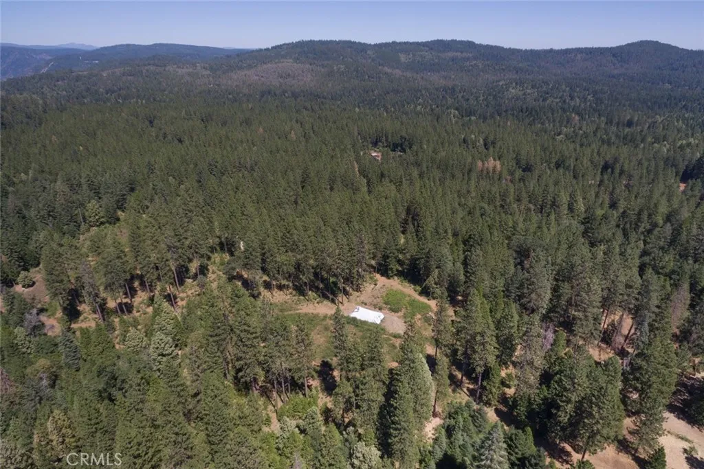 0 Forbestown Road Oroville, CA 95966 - Photo 15 of 40 a view of a forest with a street