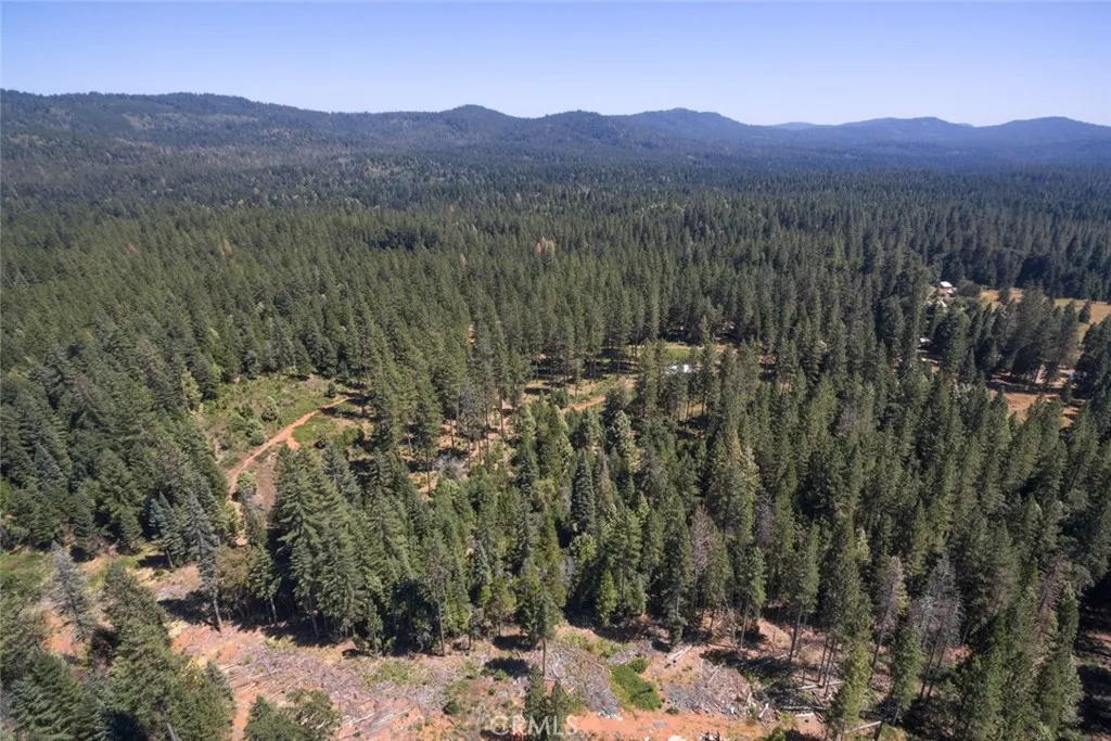0 Forbestown Road Oroville, CA 95966 - Photo 17 of 40 a view of a forest with mountains in the background